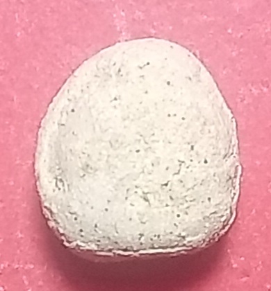 20250718_224027.jpg